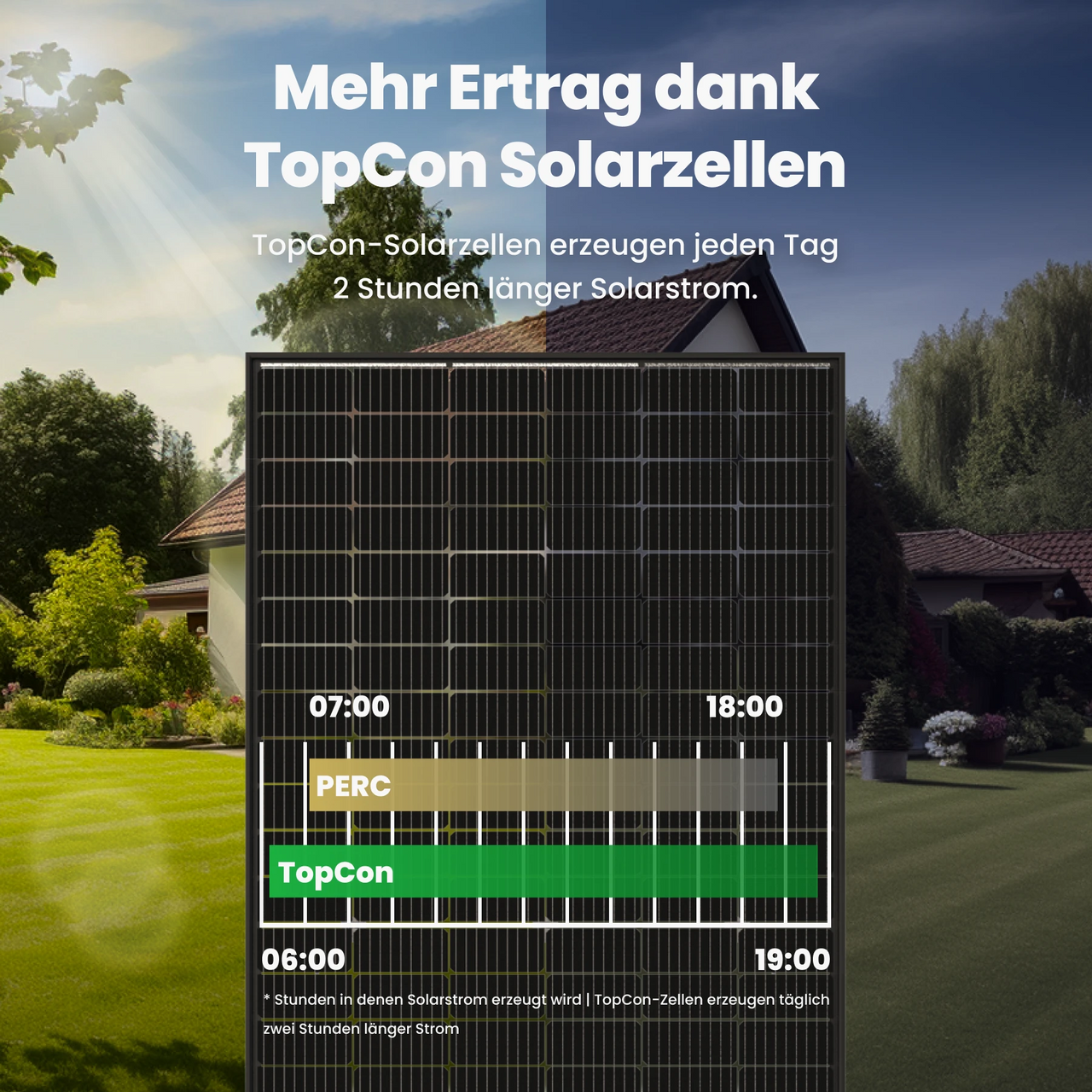 TopCon Solarzellen 